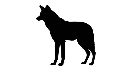 Black silhouette of a standing coyote viewed from the side against a white background