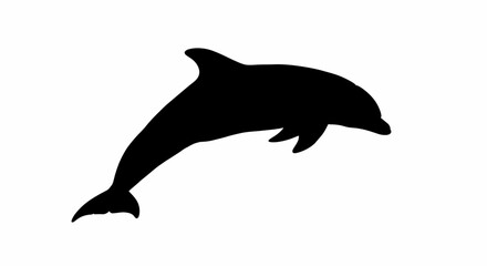 Fototapeta premium Silhouette of a playful dolphin leaping out of the water against a clean white background
