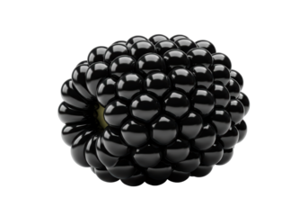 Isolated fresh blackberry fruit with detailed texture and shiny surface, ready to eat