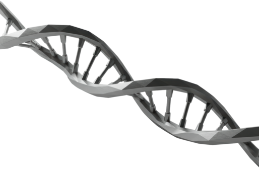 Isolated DNA molecule geometric representation, genetic code concept, 3D science model