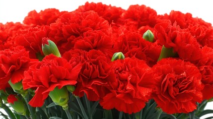 Obraz premium Vibrant red carnations floral arrangement indoor setting colorful display close-up celebrating beauty of nature