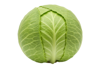 Isolated Fresh Cabbage Head, Light Green Vegetable, Cooking Ingredient, Whole Diet Food
