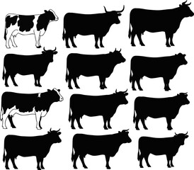 Isolated a kinds of different cow Vector art silhouette with white background..