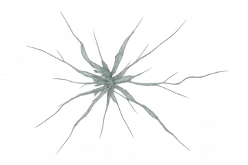Radial fracture lines spreading across transparent glass surface, revealing structural weakness and fragile nature of broken material under impact