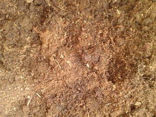 Brown peat soil background. Turf ground preparation for season.