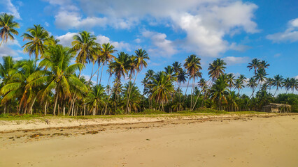 The wild and untouched beauty of Bainema Beach, where blue waters kiss the shore of Boipeba Island,...