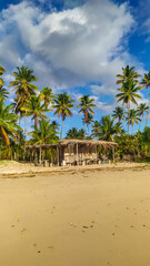 Obraz premium Bainema Beach glows under the tropical sun, its blue waters making Boipeba Island a jewel of Bahia, Brazil.