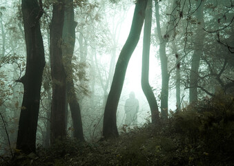 a spooky ghost like hooded figure, in a forest on a eerie foggy day