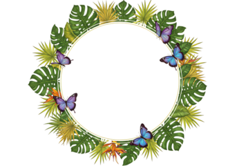 Tropical Wreath Frame:  Butterflies, Monstera Leaves, and Floral Elements isolated on transparent background