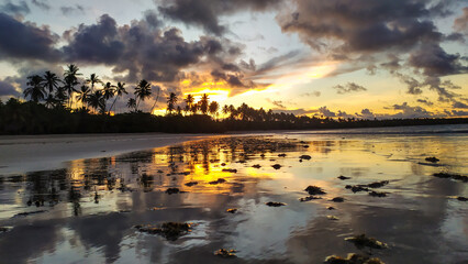 Obraz premium Palm trees silhouette against the sunset sky at Bainema Beach, Boipeba Island, Bahia, Brazil.