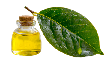 Small glass bottle with yellow oil and green leaf isolated on transparent background