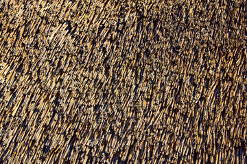  a thatched roof in the sun