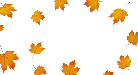 Obraz premium fallen leaves falling in the wind