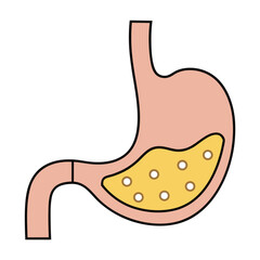 Simple cartoon illustration of a human stomach with digestive fluid anatomy organ