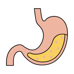 Simple illustration of a human stomach with food particles inside organ anatomy