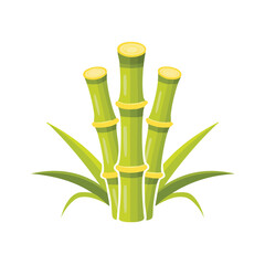 Fototapeta premium Sugarcane stalks with green leaves. A vector illustration of a sweet, tropical plant. An icon for sugar production, agriculture, and natural food. Generative AI