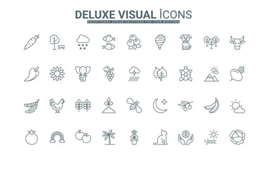 Organic harvest and cattle, protection of animals, park and forest trees thin black outline symbols vector illustration. Nature and agriculture, farm livestock and weather line icons set.