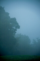 霧に覆われる山の風景