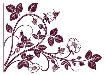 Elegant floral corner design with raspberry vines and flowers