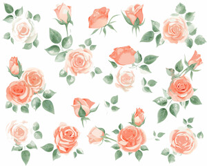 Watercolor roses and leaves design elements in soft peach and white