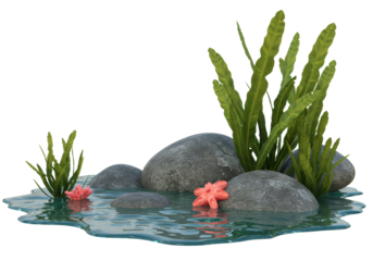 Isolated riverbed scene with stones, plants, coral in shallow water, clear reflections