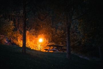 Fototapete bei efototapeten.de bestellen   