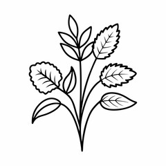 Nature & Herb Line Art Icons Aloe, Tulsi, Neem