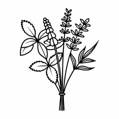 Nature & Herb Line Art Icons Aloe, Tulsi, Neem