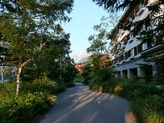 Scenic Pathway through Lush Greenery and Modern Buildings