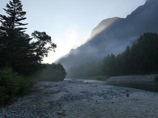 Misty Riverbank at Dawn Surrounded by Tall Trees