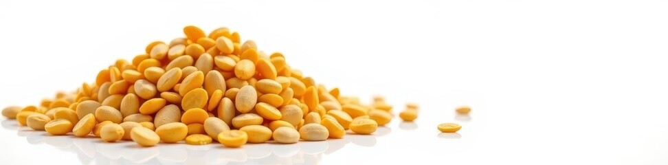 Pile of sunflower seeds, stark white backdrop, plant, macro, pile