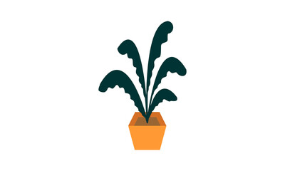 Beauty decorative plant design vector
