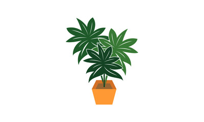 Decorative plant illustration design vector