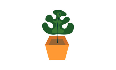 Cute decorative plant design vector