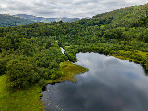 Aerial drone view of Rydal Water surrounded by lush green forest in the Lake District