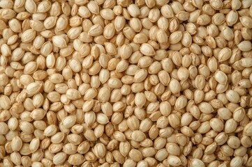 Background of sunflower seeds