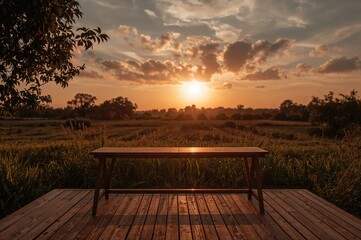 Fototapeta premium Sunset in a garden during summer with a desktop and room for text