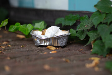 Empty aluminum food tray with tissue inside, abandoned on brick pavement among green ivy, highlighting plastic and metal waste in cities