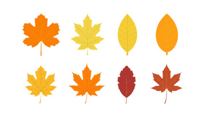 Fototapeta premium Collection of colorful autumn leaves in a flat design style isolated on a white background