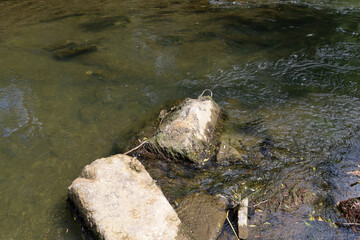A river current washes over a large stone protruding from the water, with a fragment of a concrete slab lying nearby. Sunlight penetrates the murky water, illuminating the algae-covered bottom.