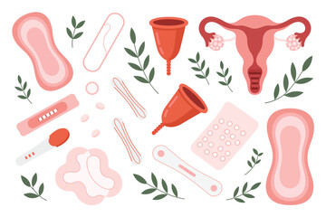 Collection of feminine hygiene products and female reproductive system illustration