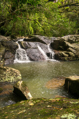 Fototapeta premium Cachoeira da Gurita, waterfall near Lagoa do Peri in Florianopolis island - Brazil