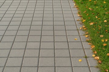 Roadway and footpath setting featuring summer and autumn scenery