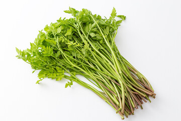 セリ　白バック