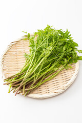 ザルに乗ったセリ　白バック