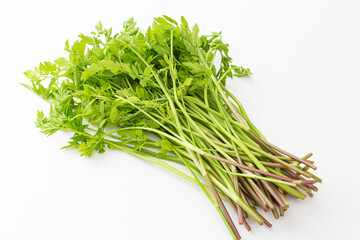 せり　白バック