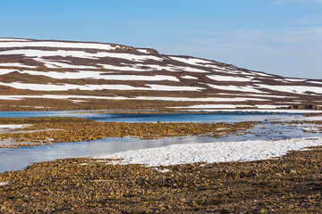 Bank of River Bunisyak. Polar day on Putorana Plateau, Taimyr. Russia