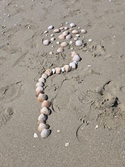 footprint in sand