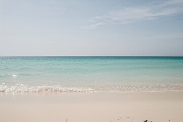 Secluded Shoreline with Ocean and Creamy Sky