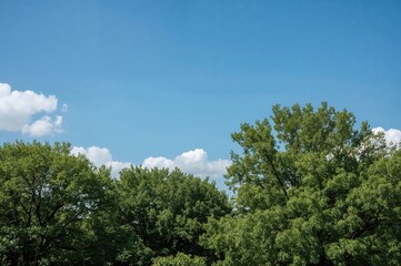 The essence of beauty is wonderful, rejuvenating our spirit and beneficial for well-being.